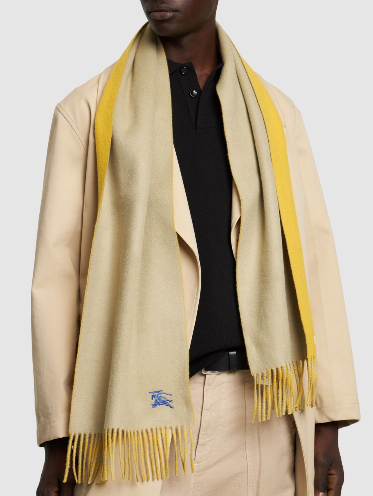 Burberry Embroidered Logo Bicolor Cashmere Scarf